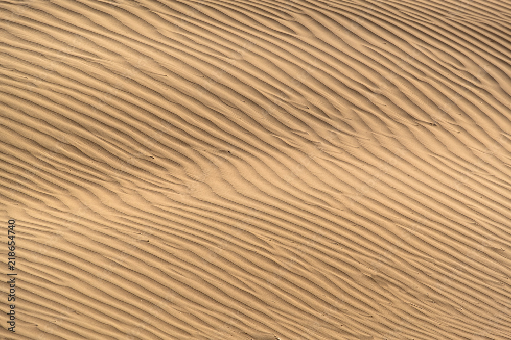 Beautiful sand dune in Thar desert, Jaisalmer, Rajasthan, India. Beautiful sand dune in Thar desert, Jaisalmer, Rajasthan, India.