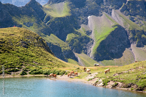 Summer in alps