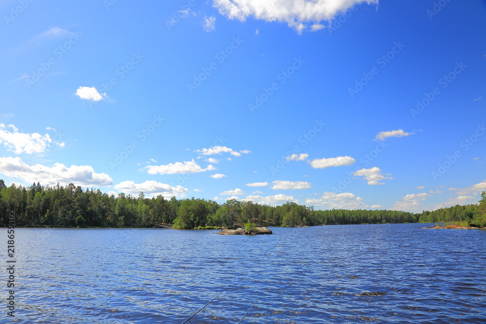 Gorgeous nature landscape view of lake with rocky coast line and green tall trees on blue sky background. Sweden, Europe. Beautiful backgrounds.