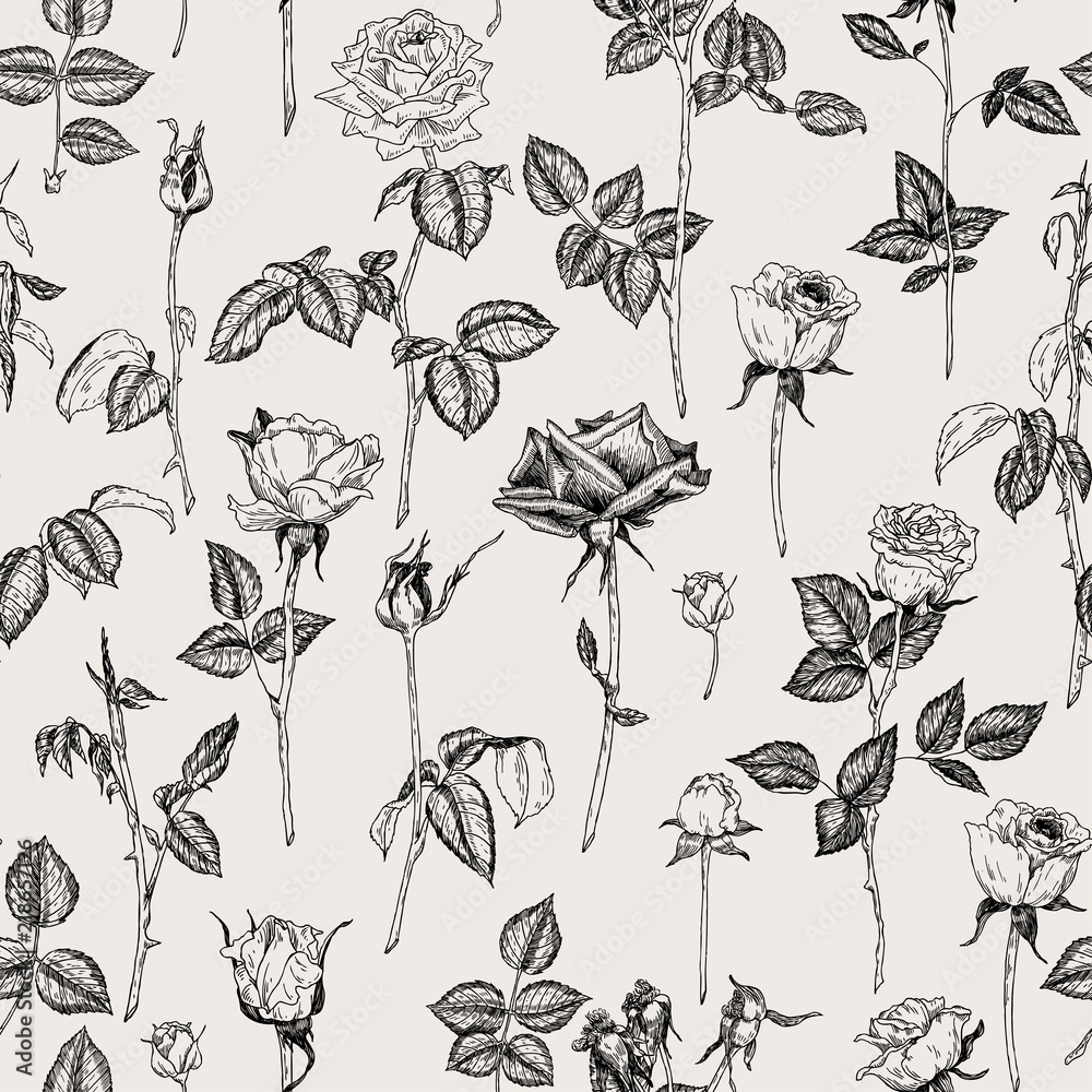 Vector seamless hand drawn pattern with roses in vintage graphic style. Gentle decoration pattern for paper, textile, handmade, wrapping decoration, scrap-booking, polygraphy, t-shirt, cards.