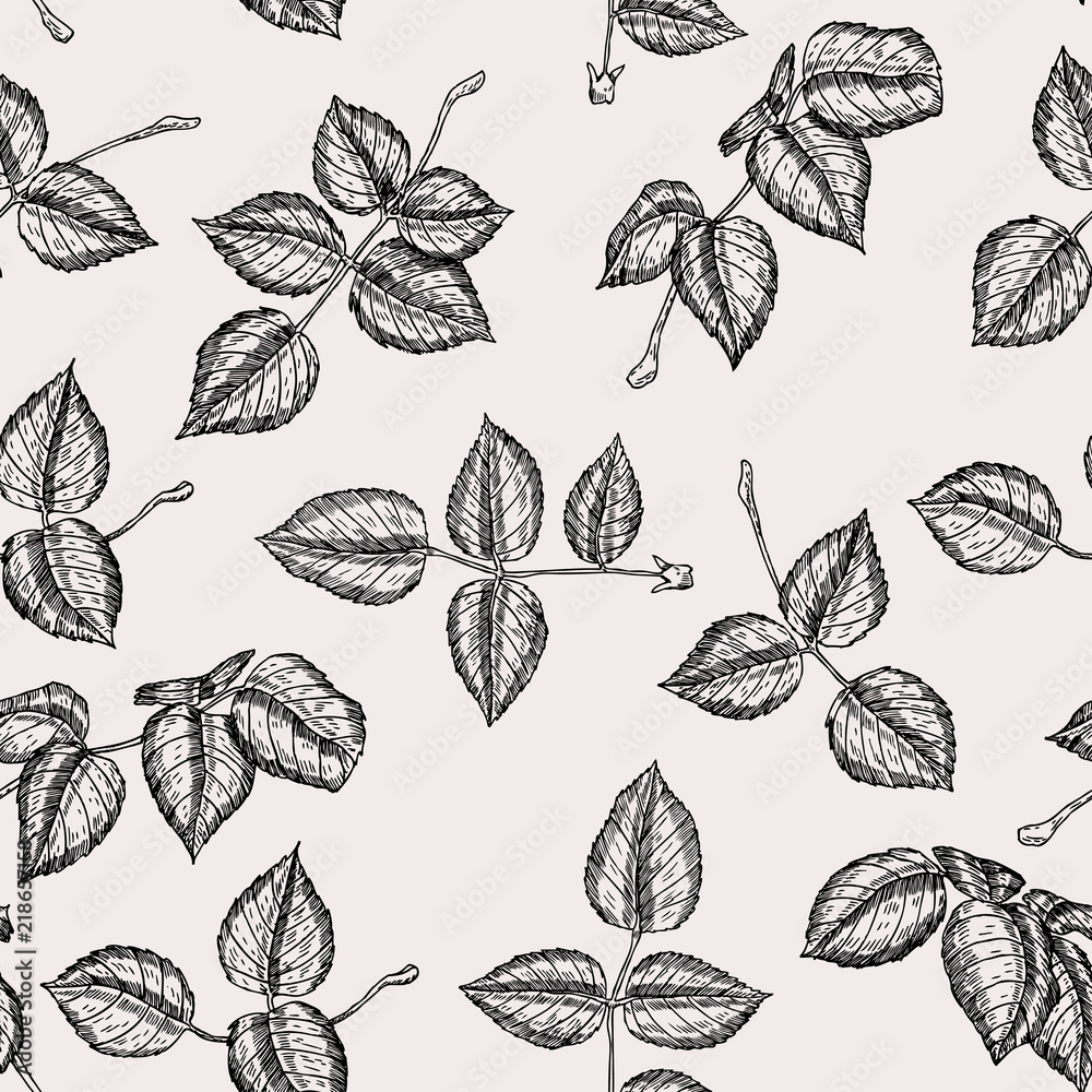 Vector seamless hand drawn pattern with roses in vintage graphic style. Gentle decoration pattern for paper, textile, handmade, wrapping decoration, scrap-booking, polygraphy, t-shirt, cards. Vector seamless hand drawn pattern with roses in vintage graphic style. Gentle decoration pattern for paper, textile, handmade, wrapping decoration, scrap-booking, polygraphy, t-shirt, cards.