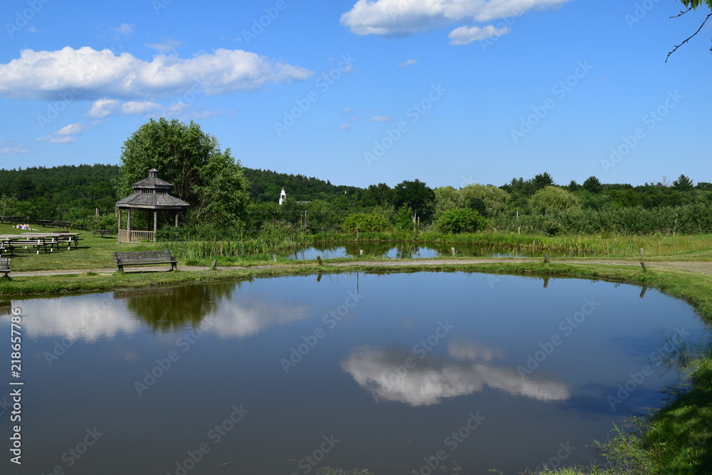 Pond with cloud reflections