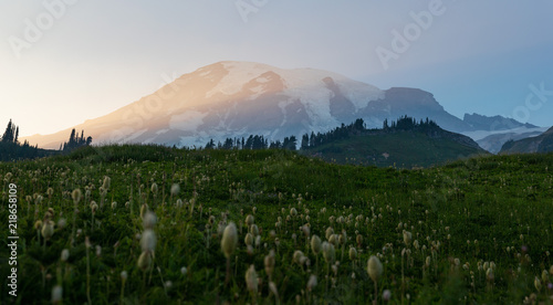 Mount Rainier with Wildflowers during Sunset at Washington