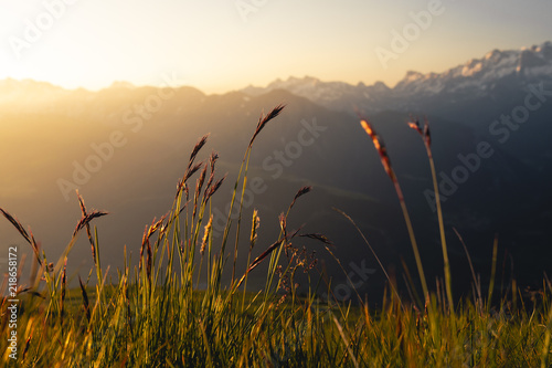 Moutains at sunrise with grass in the foreground © ezgode