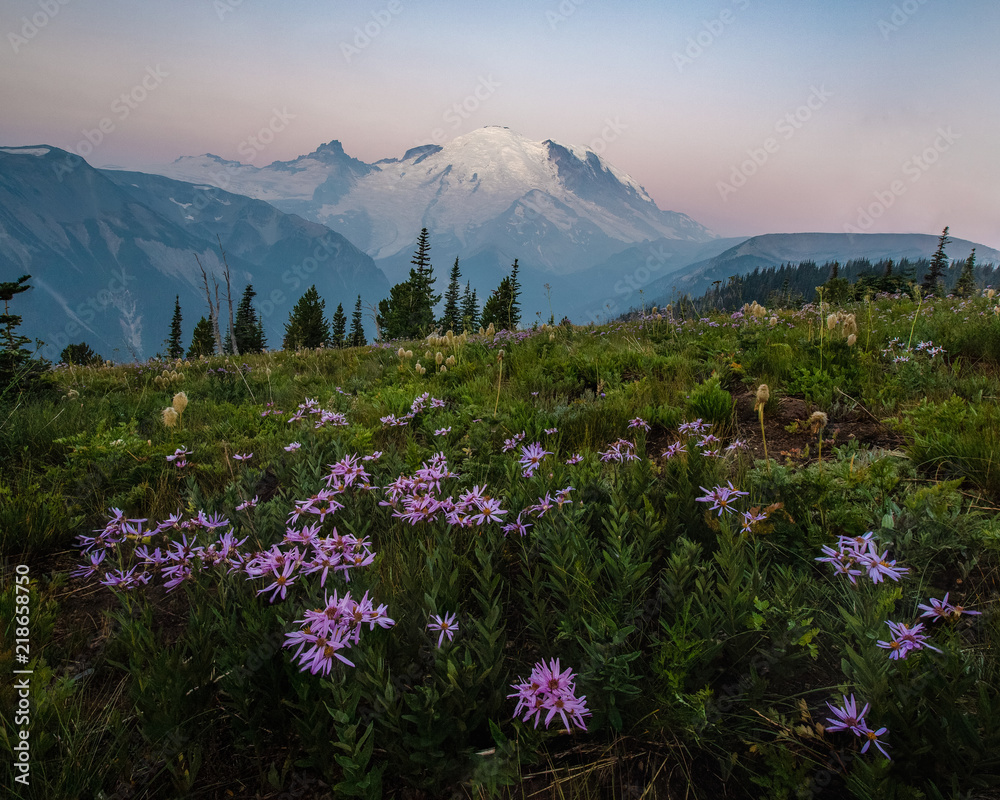 Mount Rainier with Wildflowers during Sunrise at Washington