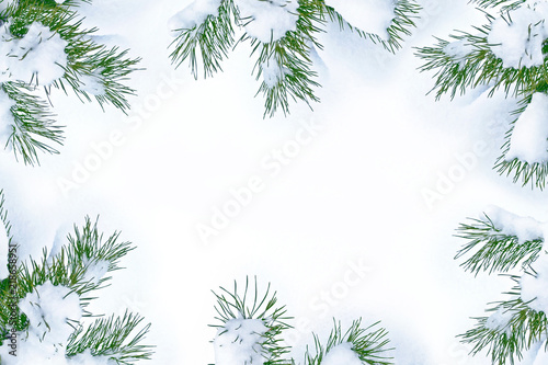  Frozen winter forest with snow covered trees.