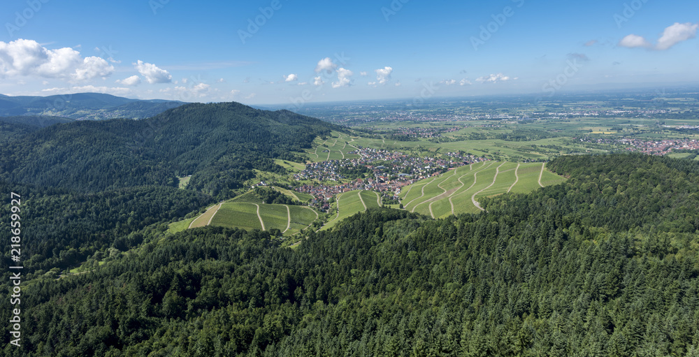 Fototapeta premium View over the Black Forest to the vineyards of the village Neuweier near Baden Baden, Germany