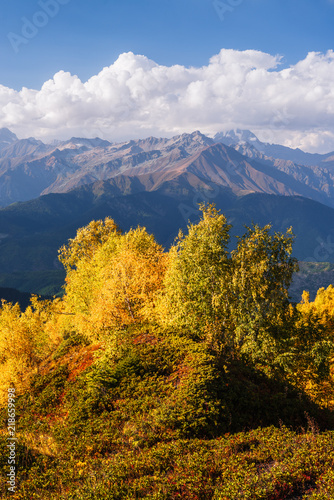 Autumn Landscape with birch forest and mountain peak Ushba © Oleksandr Kotenko
