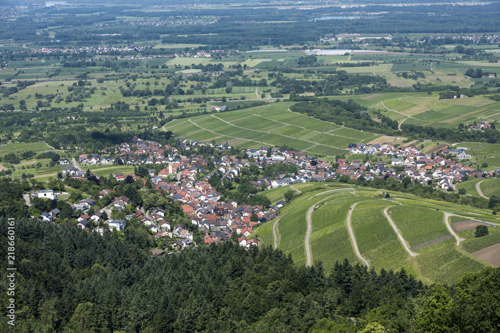 View over the Black Forest to the vineyards of the village Varnhalt near Baden Baden, Germany