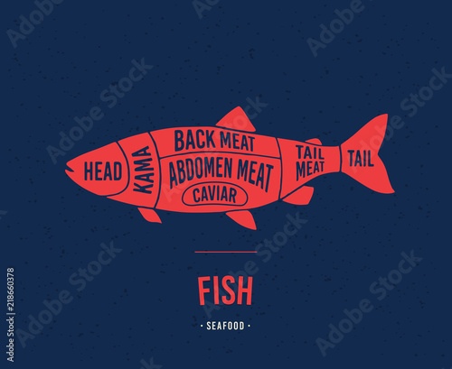 Fish shop. Diagrams for the fish shop. Scheme fish. Silhouette of fish. Vector illustration.