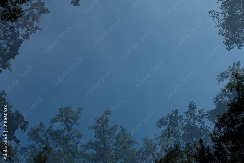 Natur Wald Teich Himmel Blau und Grün Natur Wald Teich Himmel Blau und Grün