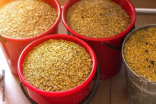 Several full buckets stand with grain, oats granule