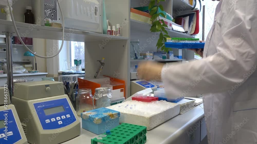 NOVOSIBIRSK RUSSIA, - AUGUST 26 2017: The scientist works in the modern genetic center for genome sequenc