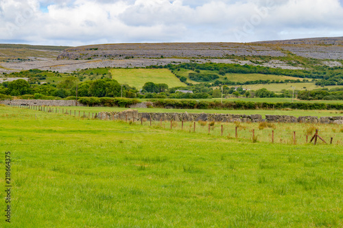 Farm field with Mountain and vegetation in Ballyvaughan