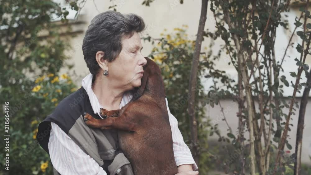 An adult woman sits in the yard holding her favorite dog dachshund in her arms. An adult woman sits in the yard holding her favorite dog dachshund in her arms.
