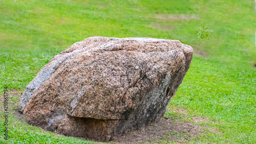 Decorative stone on grass