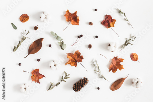 Autumn composition. Pattern made of eucalyptus branches, cotton flowers, dried leaves on white background. Autumn, fall concept. Flat lay, top view