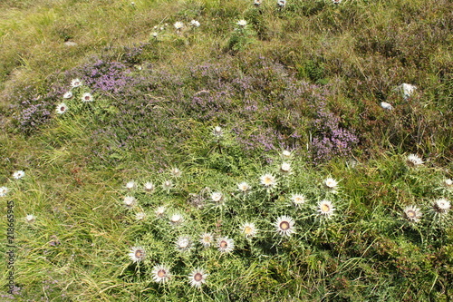 Appennino pistoiese photo