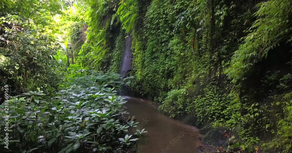 River in the canyon,the camera moves in a opposite to the flow direction