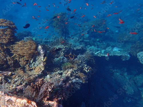Fototapeta Naklejka Na Ścianę i Meble -  Schnorcheln am Japanese Shipwreck Amed Bali Indonesien