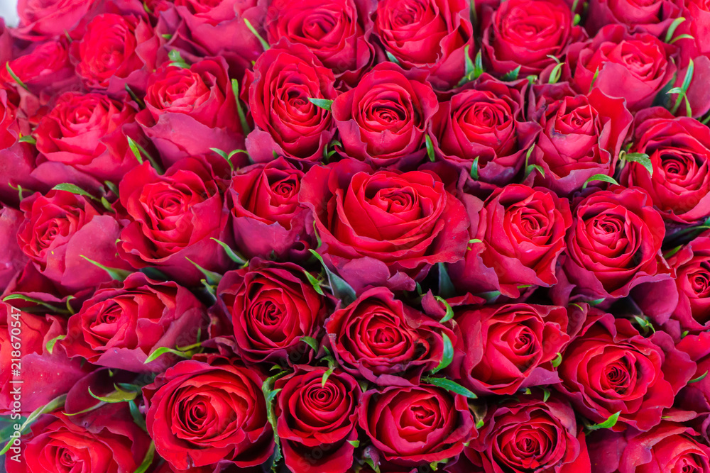 an armful of red, fresh roses in a bouquet an armful of red, fresh roses in a bouquet
