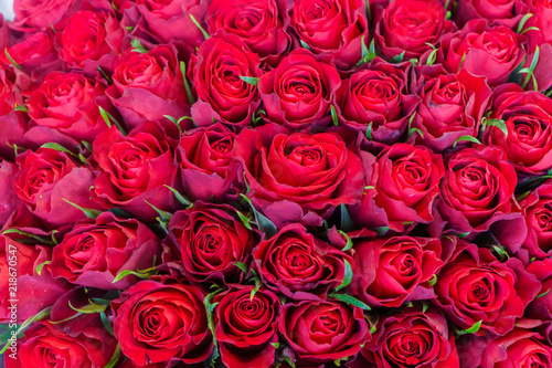 an armful of red  fresh roses in a bouquet