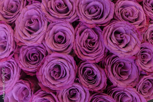 an armful of light lilac, fresh roses in a bouquet
