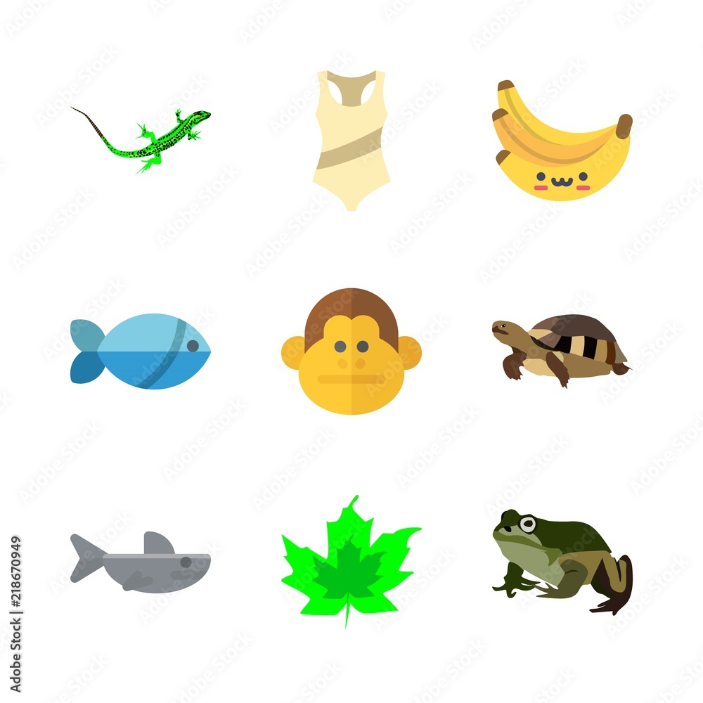tropical vector icons set. bananas, shark, frog and turtle in this set
