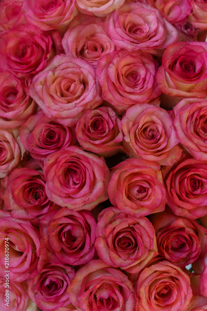 an armful of pink, fresh roses in a bouquet