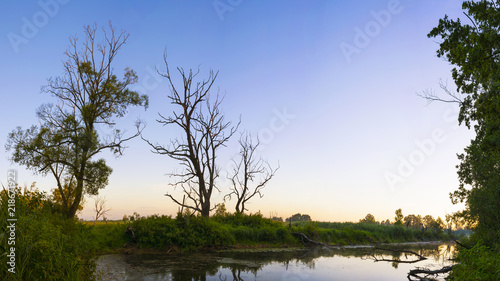 Obraz na płótnie Biebrza river at dawn. Osowiec, Podlasie, Poland.