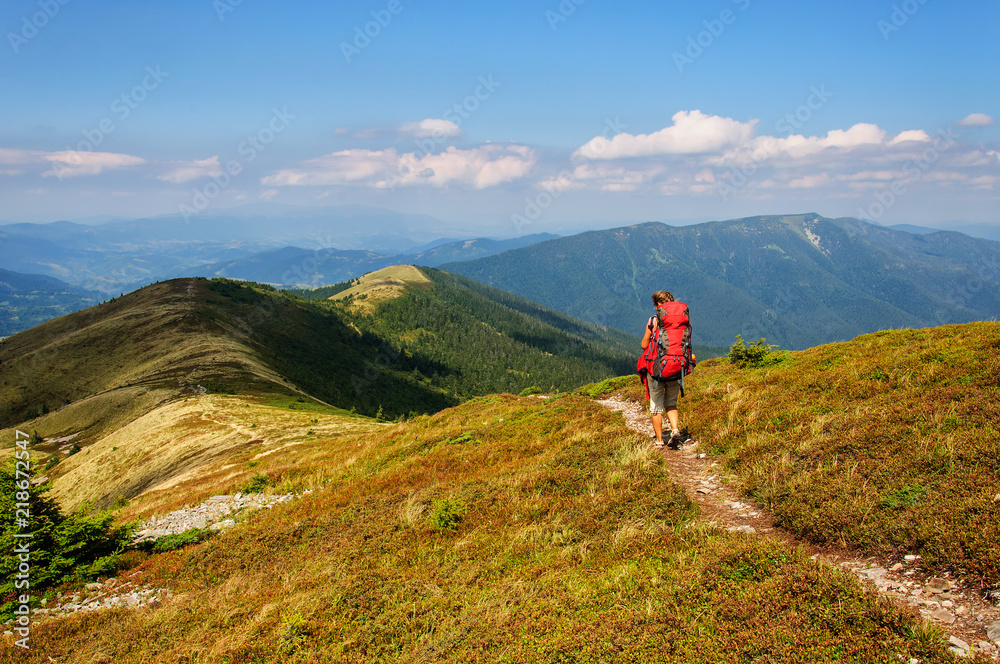 Fototapeta premium girl with a big backpack rises to the mountains. Ukraine