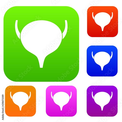 Bladder set icon in different colors isolated vector illustration. Premium collection