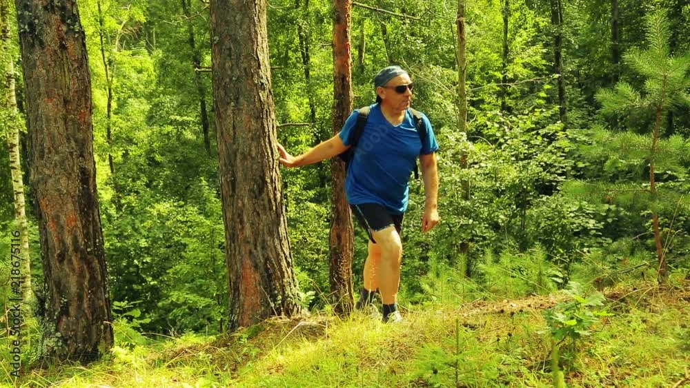 A man with a backpack rises to a hill in the middle of the forest. A man with a backpack rises to a hill in the middle of the forest.