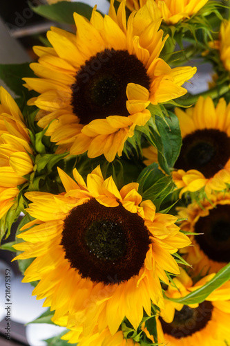 Fototapeta Naklejka Na Ścianę i Meble -  Beautiful decorative sunflowers used for making bouquets