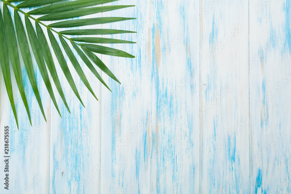 Fototapeta premium Green leaf with copy space. Green fresh plants on wooden background.