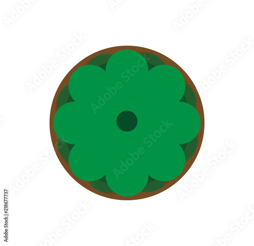 Green flowerpot top view. Natural home botany background. Vector floral gardening design concept object. Isolated graphic illustration element summer. Closeup room cacti color. Flower desk table