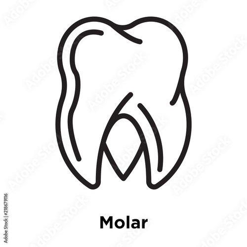 molar icons isolated on white background. Modern and editable molar icon. Simple icon vector illustration.