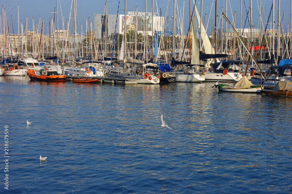 Fototapeta premium SONY DSC