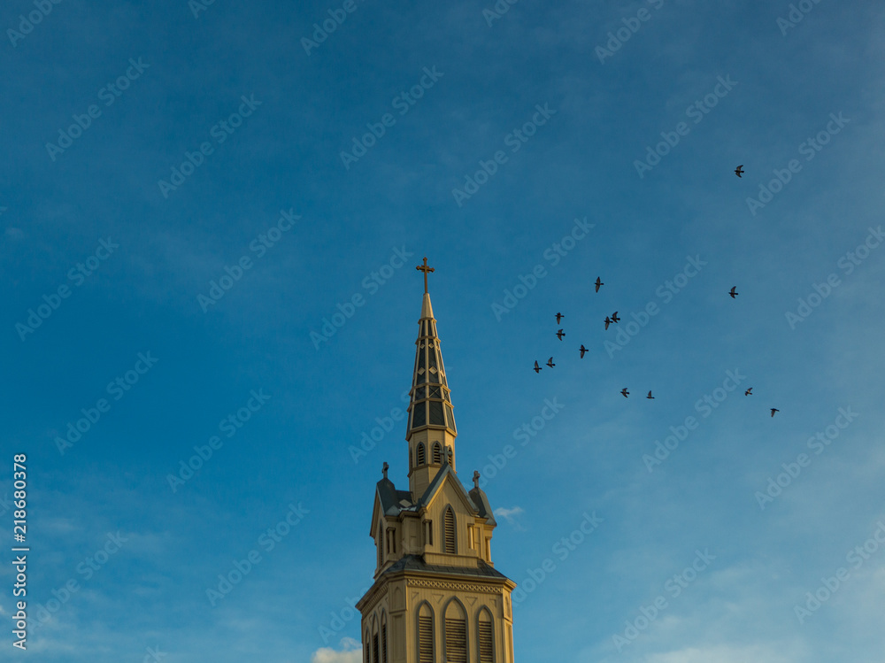 Church and birds