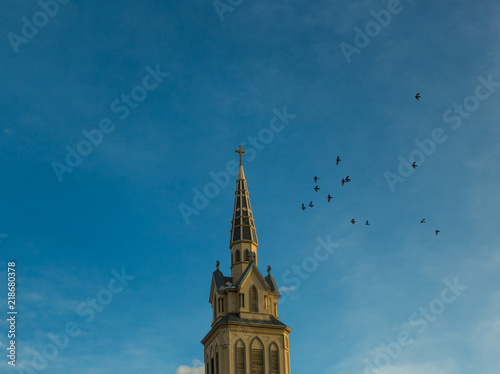 Church and birds