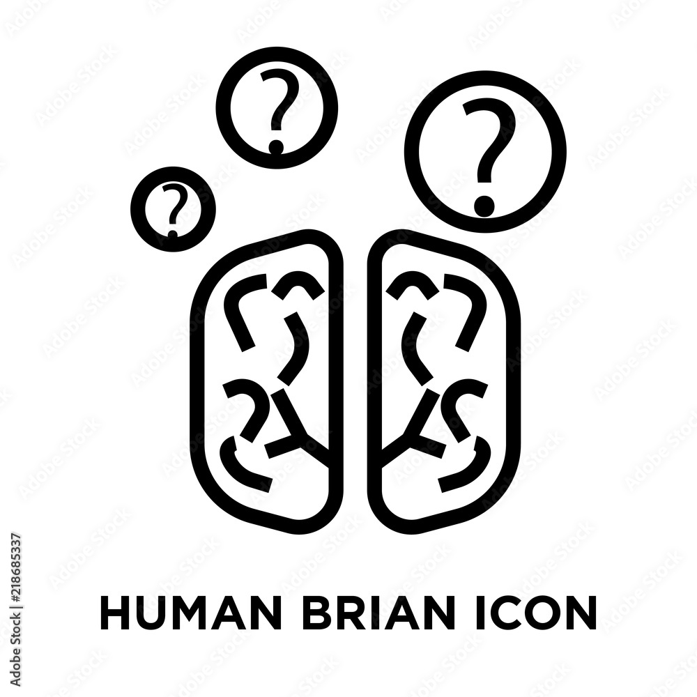 human brian icon on white background. Modern icons vector illustration. Trendy human brian icons human brian icon on white background. Modern icons vector illustration. Trendy human brian icons
