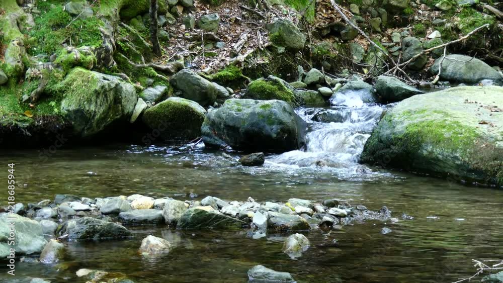 Water, Stream, Creek, pond, Rock, Stone, Green Moss, Forest Water, Stream, Creek, pond, Rock, Stone, Green Moss, Forest