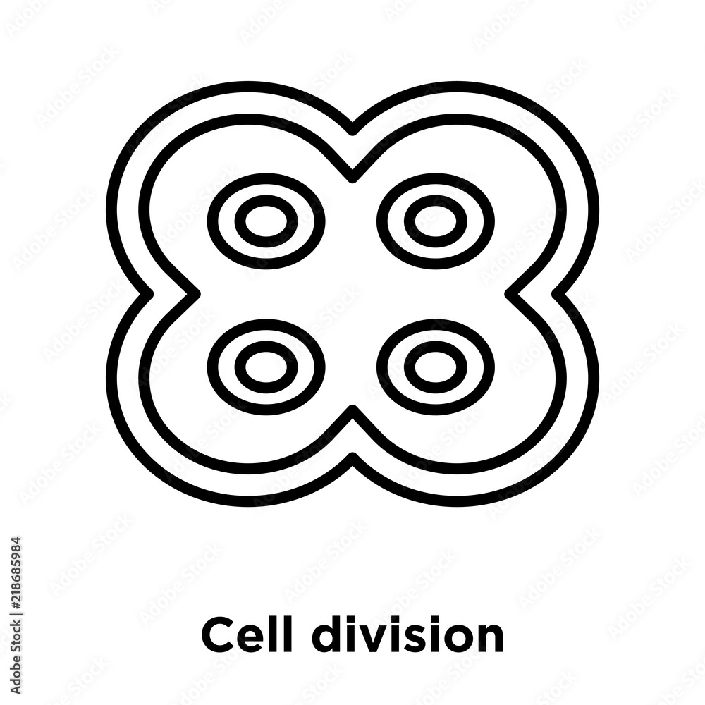 Cell division icon vector isolated on white background, Cell division sign , thin line design elements in outline style