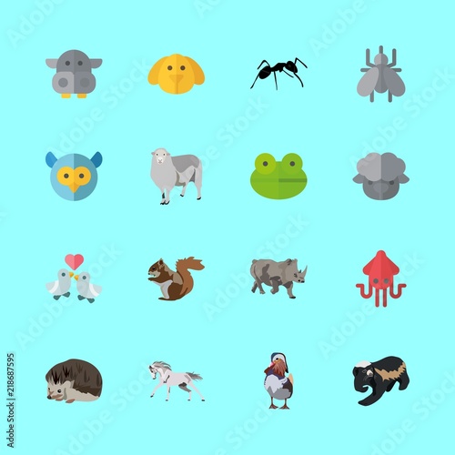 Fototapeta Naklejka Na Ścianę i Meble -  animal vector icons set. owl, squid, mosquito and rhino in this set