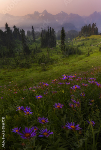 Mt rainier NP is especially beautiful in summer when wildflowers start blooming. © svetlana57