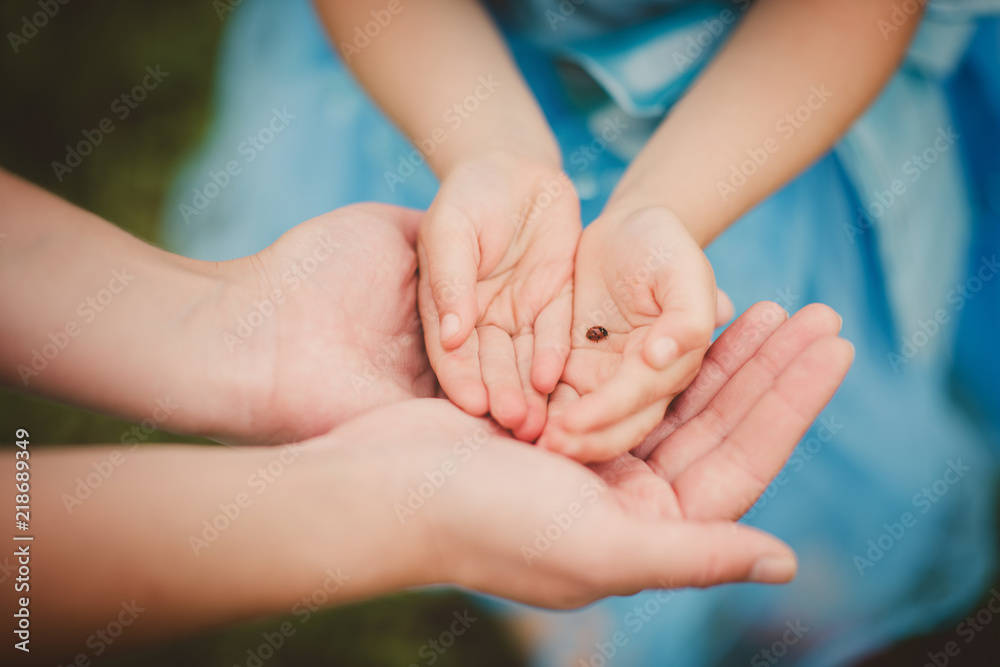 detail of child hands holding a ladybird detail of child hands holding a ladybird