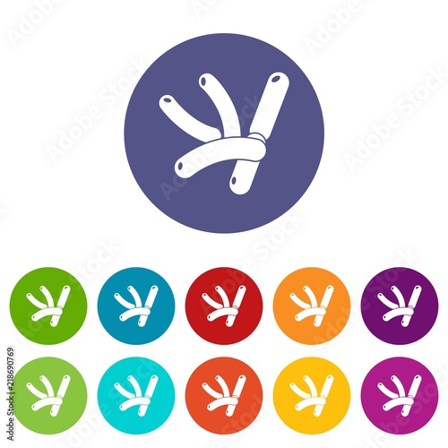 Bacilli icons color set vector for any web design on white background