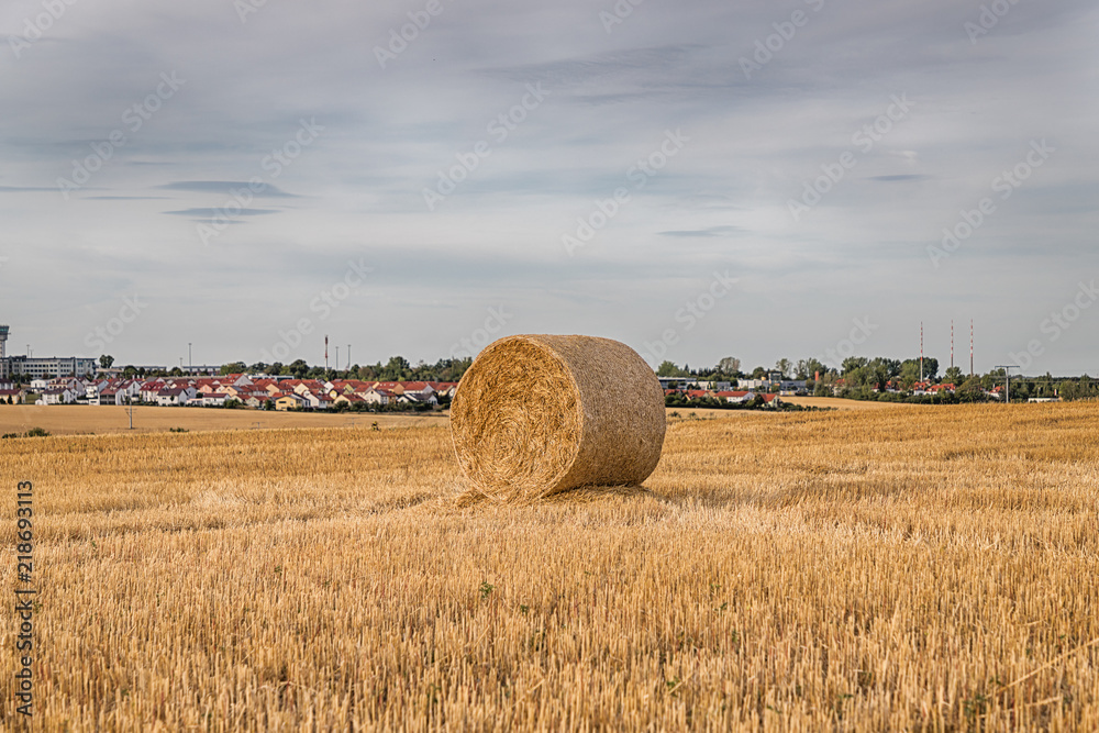 Straw bale on the field. Close-up. Agricultural field