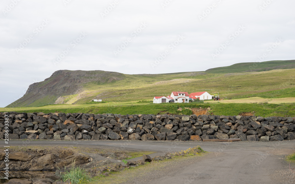 Landschaft am Hafen von Bakkagerði mit Papageientauchern / Ostfjorde - Island