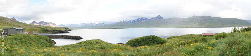Landschaft am Hafen von Bakkagerði mit Papageientauchern / Ostfjorde - Island